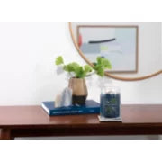 BAYSIDE CEDAR - SIGNATURE - Yankee Candle - Giara Media