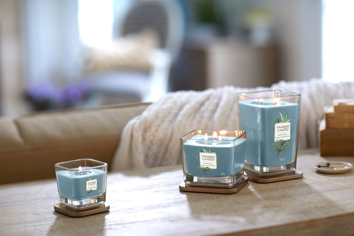COASTAL CYPRESS -Yankee Candle- Candela Media