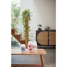Sweet plum sake - Yankee Candle - Giara Piccola