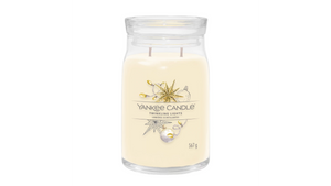 TWINKLING LIGHTS -Yankee Candle- Giara Grande-Signature - NATALE