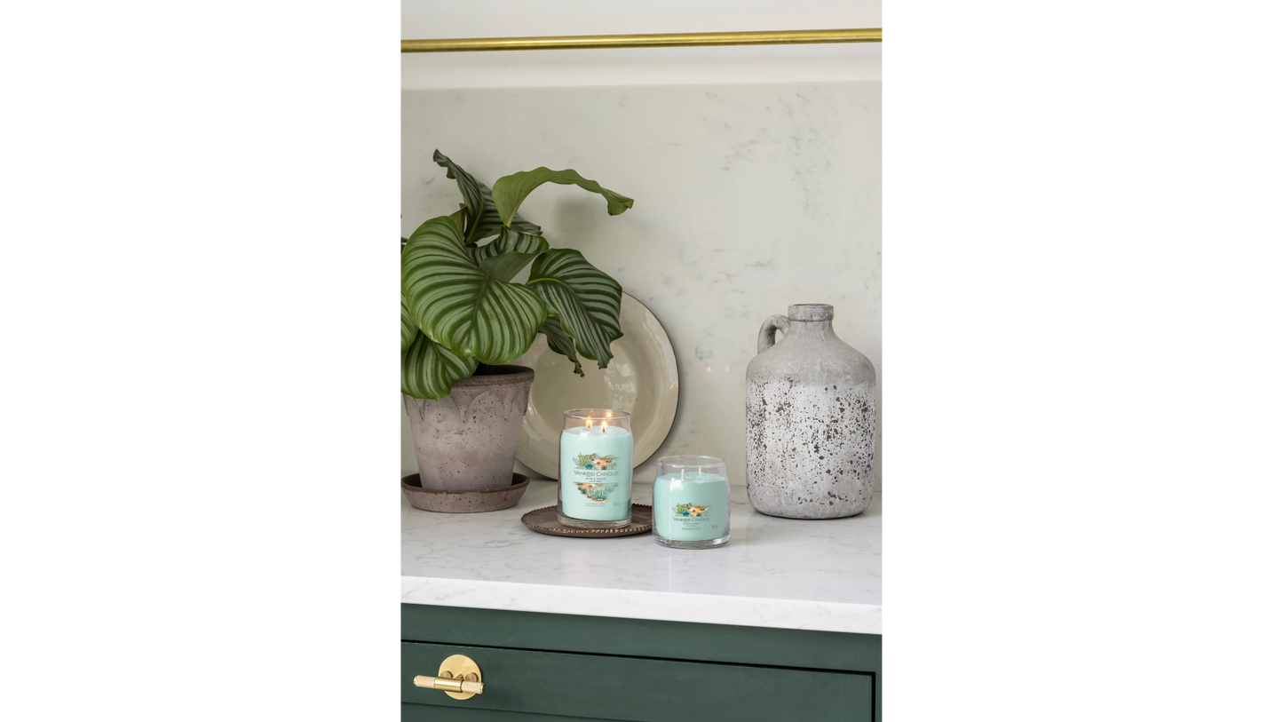 ALOE & AGAVE -Signature - Yankee Candle- Giara Media