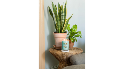 ALOE & AGAVE - SIGNATURE - Yankee Candle- Giara Grande