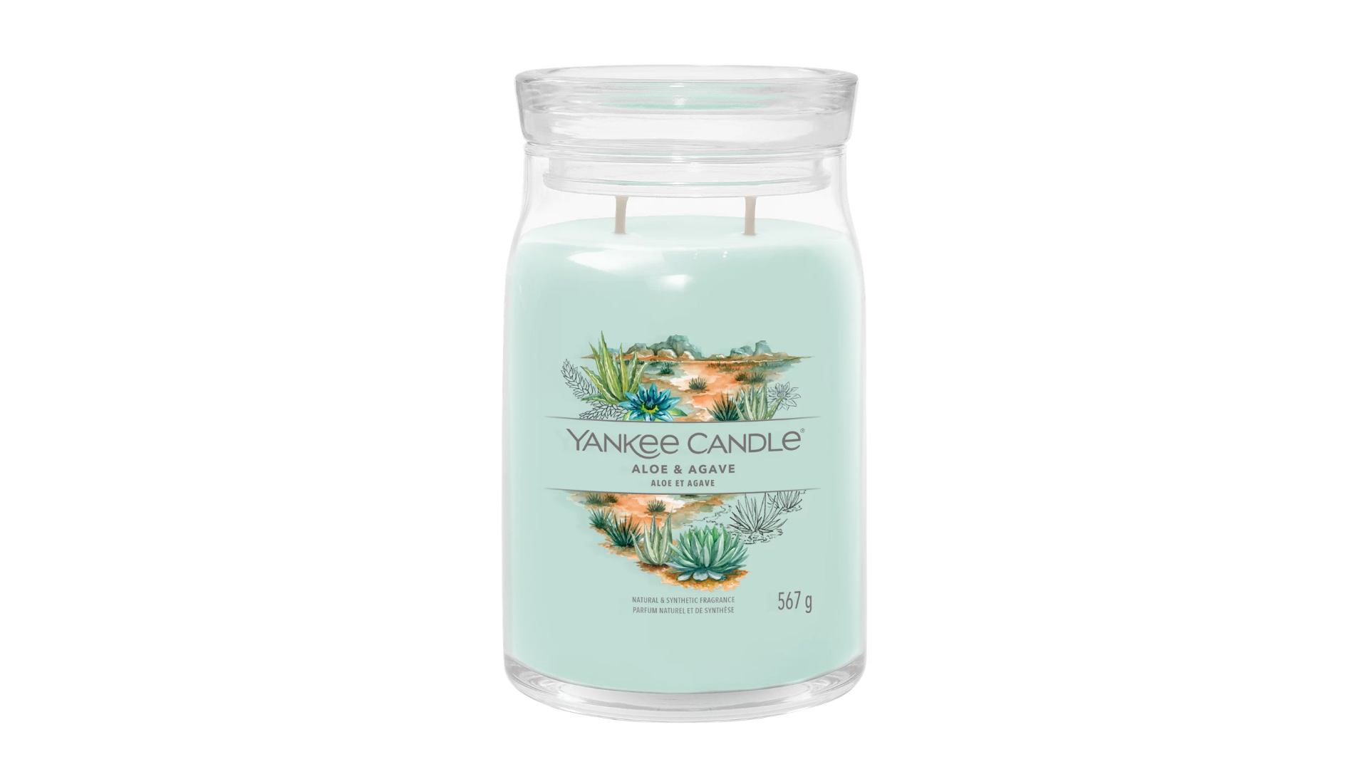 ALOE & AGAVE -Yankee Candle- Tart Cera da Fondere