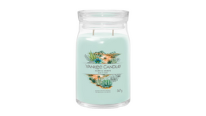 ALOE & AGAVE -Yankee Candle- Tart Cera da Fondere