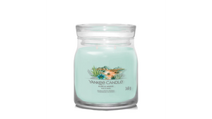 ALOE & AGAVE -Signature - Yankee Candle- Giara Media