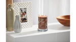 PRALINE & BIRCH - Candela Tumbler Grande - Signature - Yankee Candle