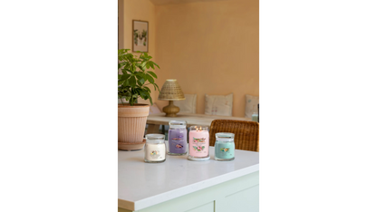 SWEET VANILLA HORCHATA -Yankee Candle- Giara Grande-Signature