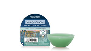 ALOE & AGAVE -Yankee Candle- Tart Cera da Fondere