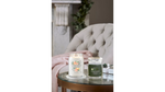 WHITE SPRUCE & GRAPEFRUIT -Yankee Candle- Giara Grande -SIGNATURE-NATALE