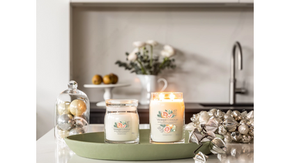 WHITE SPRUCE & GRAPEFRUIT -Signature - Yankee Candle- Giara Media - NATALE
