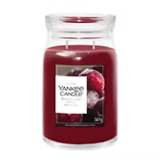 WOODLAND SPICE -SIGNATURE - Yankee Candle- Giara Grande NATALE