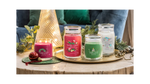 SPARKLING WINTERBERRY -Signature - Yankee Candle- Giara Media - NATALE