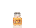 MANGO PEACH SALSA -Yankee Candle- Giara Piccola