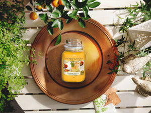 CALAMANSI COCKTAIL -Yankee Candle- Giara Media