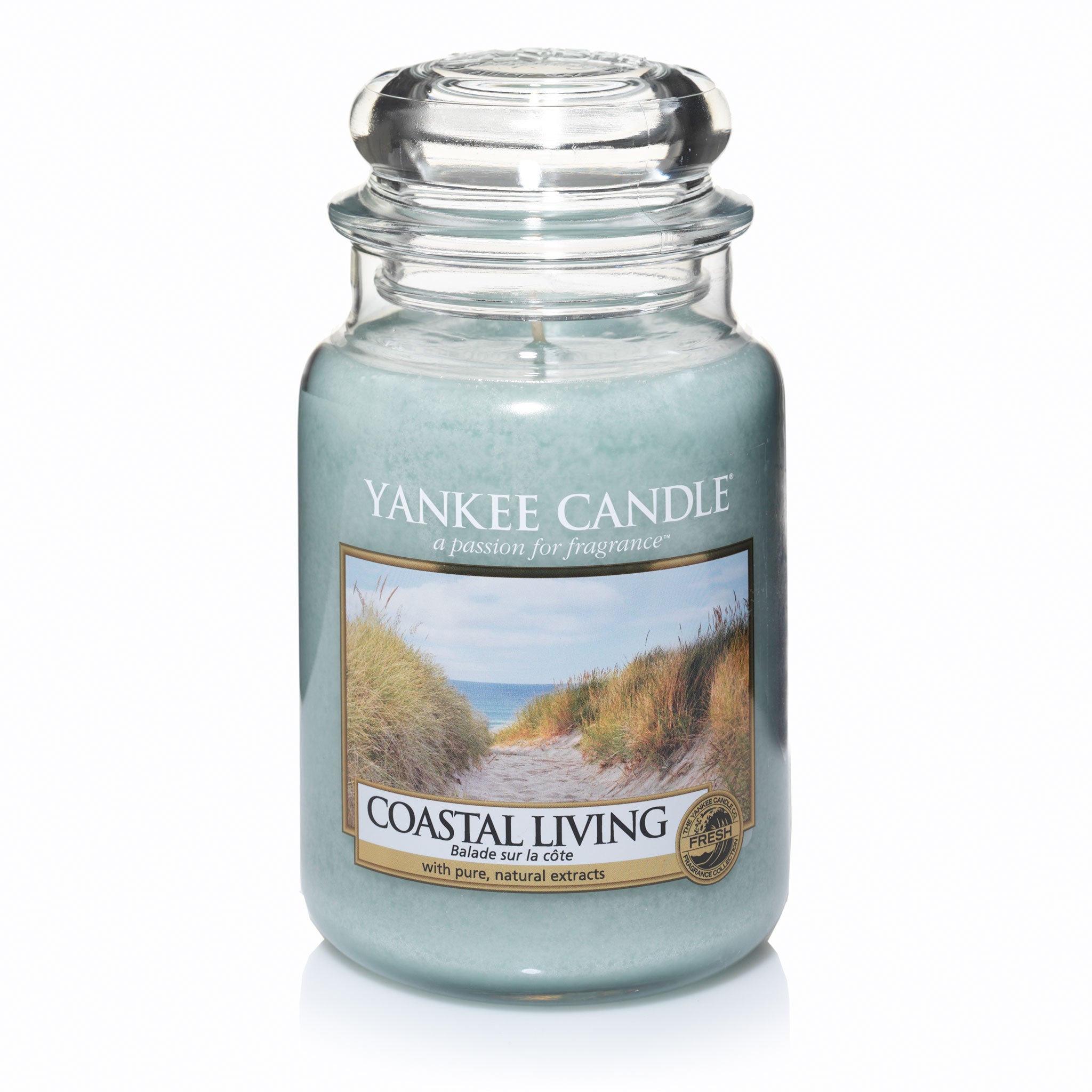 COASTAL LIVING -Yankee Candle- Giara Grande