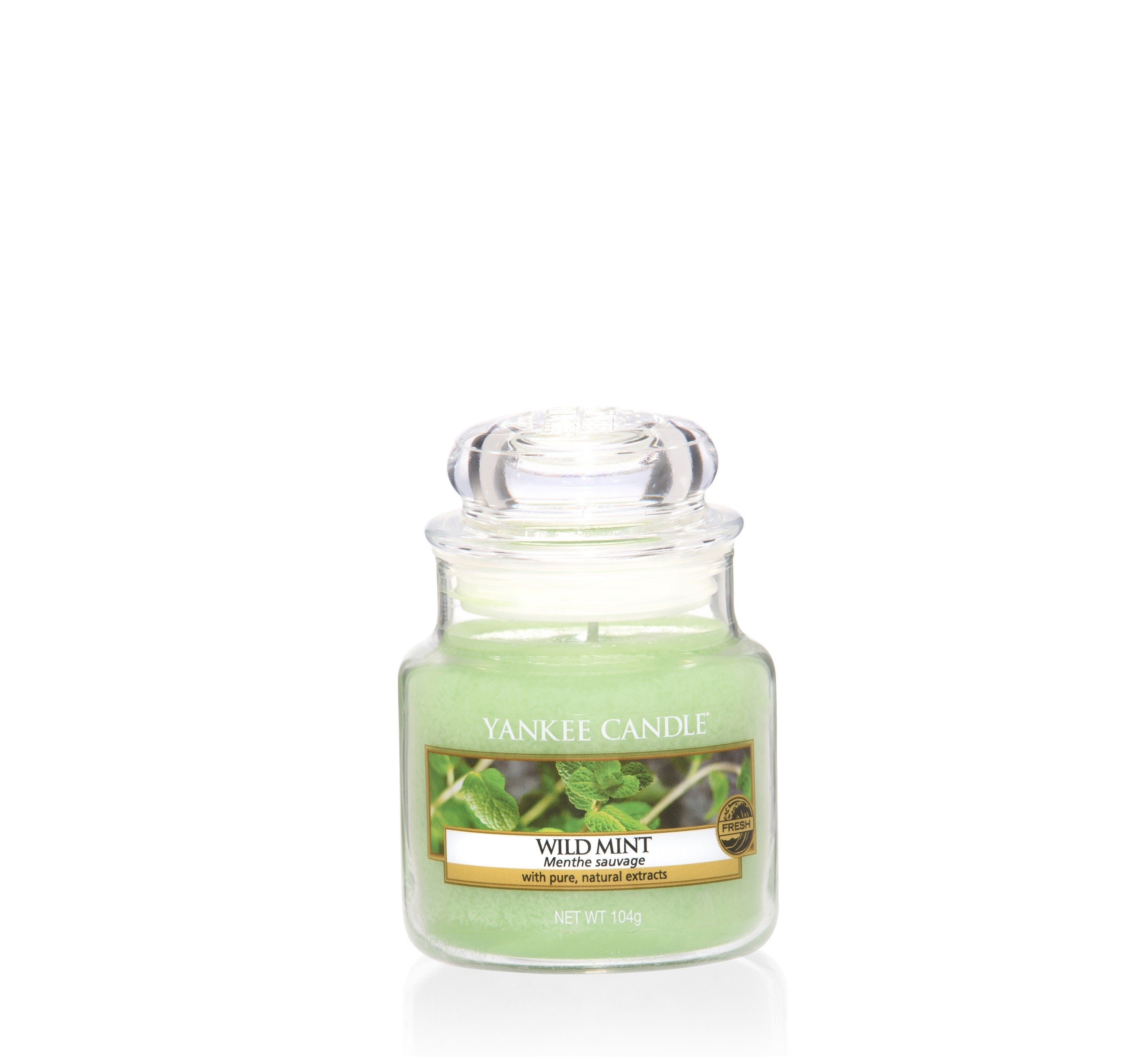 WILD MINT -Yankee Candle- Giara Piccola