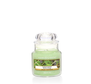 WILD MINT -Yankee Candle- Giara Piccola