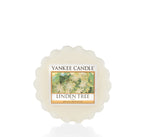 LINDEN TREE -Yankee Candle- Tart