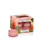 SUN-DRENCHED APRICOT ROSE -Yankee Candle- Tea Light