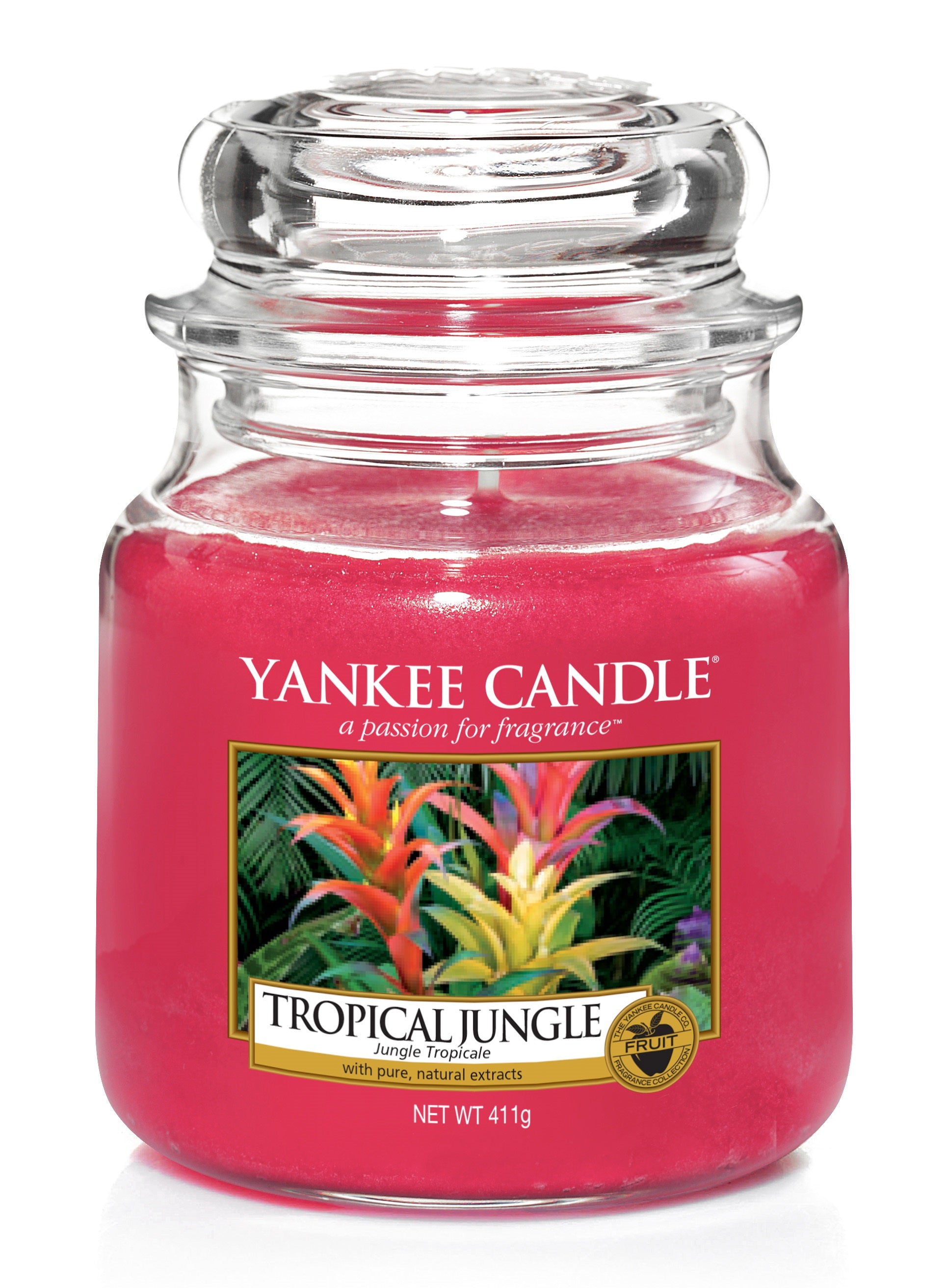 TROPICAL JUNGLE -Yankee Candle- Giara Media