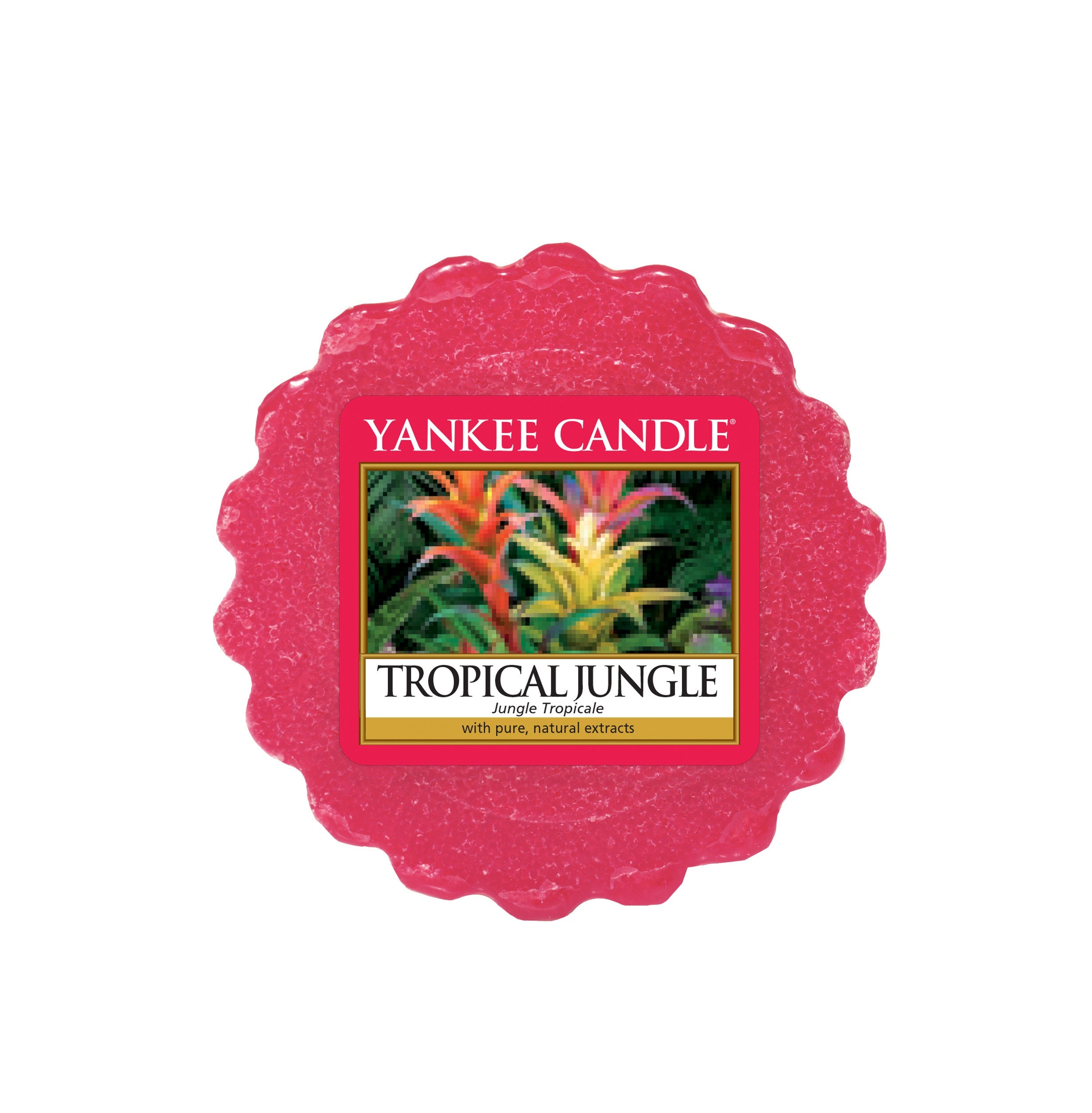 TROPICAL JUNGLE -Yankee Candle- Tart