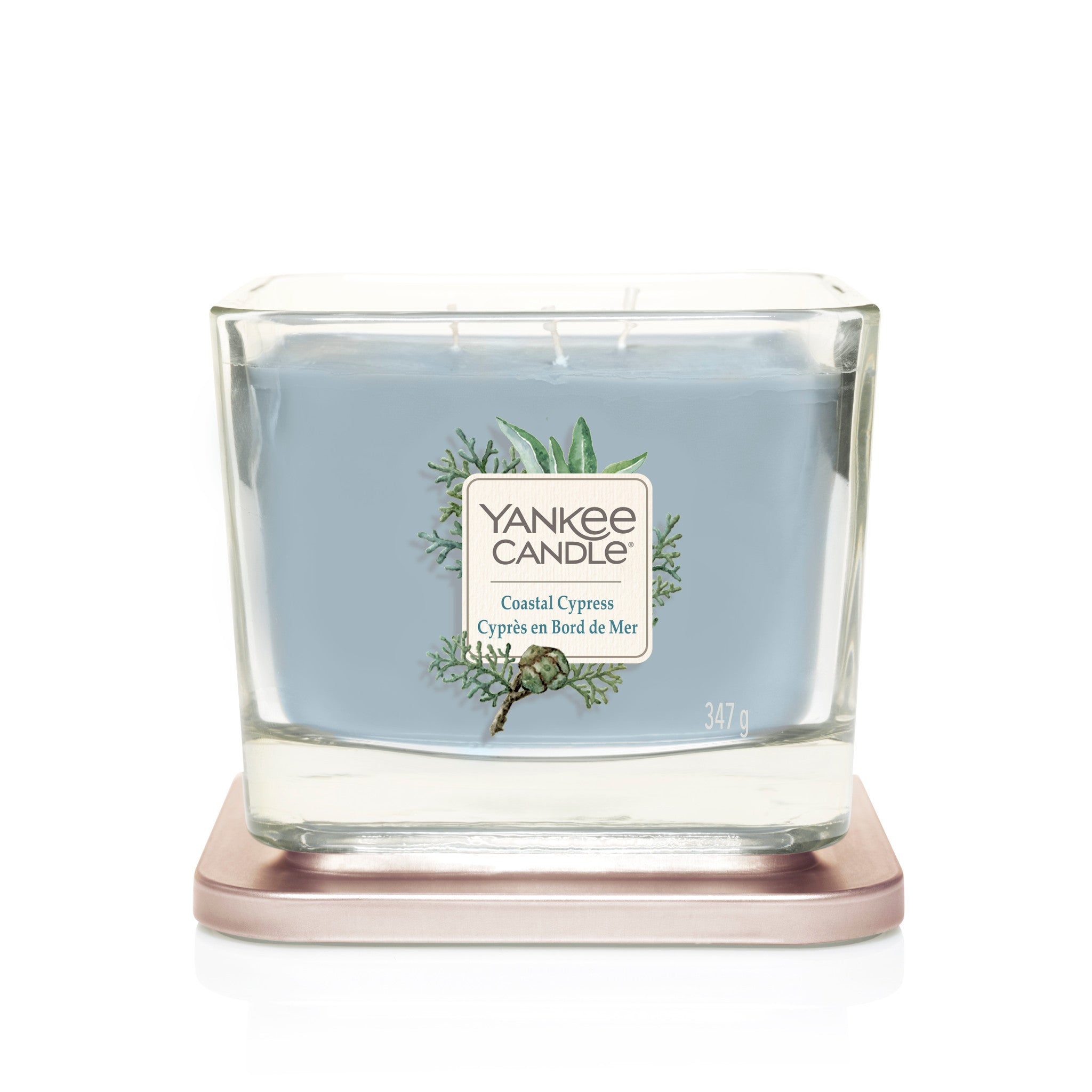 COASTAL CYPRESS -Yankee Candle- Candela Media