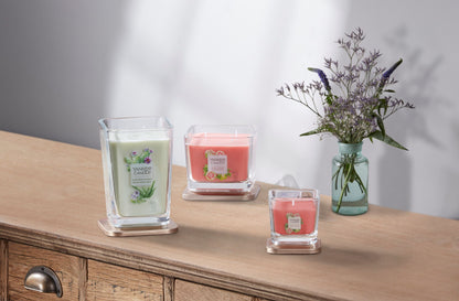 JASMINE & POMELO -Yankee Candle- Candela Grande