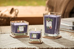 FIG & CLOVE -Yankee Candle- Candela Piccola