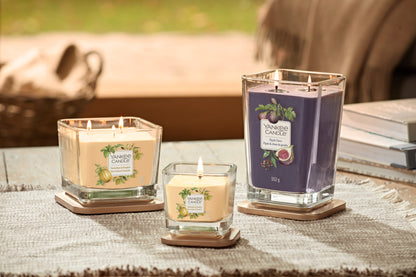 TONKA BEAN & PUMPKIN -Yankee Candle- Candela Grande