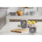 BLACK TEA & LEMON - Yankee Candle - Giara Media - SIGNATURE