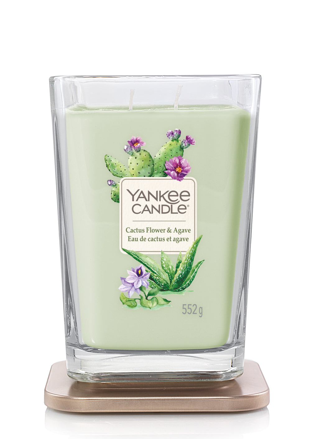 CACTUS FLOWER & AGAVE -Yankee Candle- Candela Grande