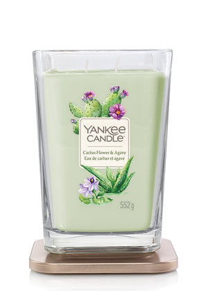 CACTUS FLOWER & AGAVE -Yankee Candle- Candela Grande