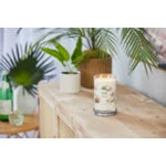 COCONUT BEACH - Candela Tumbler Grande - Signature - Yankee Candle