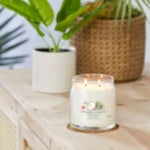 COCONUT BEACH -SIGNATURE - Yankee Candle - GIARA MEDIA