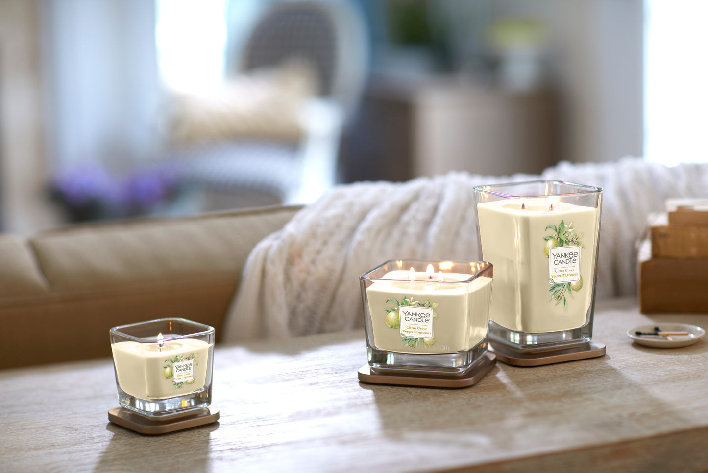 CITRUS GROVE -Yankee Candle- Candela Media