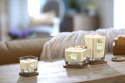 CITRUS GROVE -Yankee Candle- Candela Media