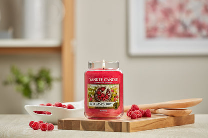 RED RASPBERRY - Yankee Candle - Candela Votive in Vetro Confezione da 3