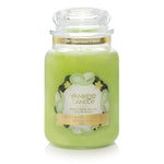 HONEYDEW MELON -Yankee Candle- Giara Grande