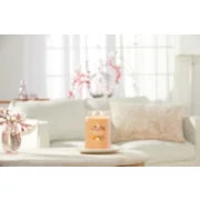 MANGO ICE CREAM - Yankee Candle - Giara Grande - SIGNATURE