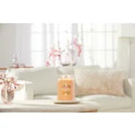 MANGO ICE CREAM - Yankee Candle - Giara Grande - SIGNATURE