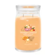 MANGO ICE CREAM - Yankee Candle - Giara Grande - SIGNATURE