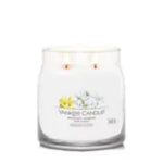 MIDNIGHT JASMINE -SIGNATURE - Yankee Candle- Giara Media