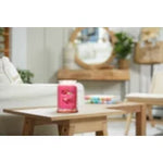 RED RASPBERRY - SIGNATURE - Yankee Candle- Giara Grande