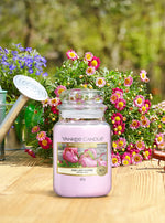 PINK LADY SLIPPER -Yankee Candle- Giara Grande