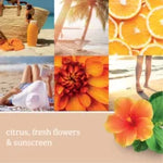 SUN & SAND- Tart Cera da Fondere