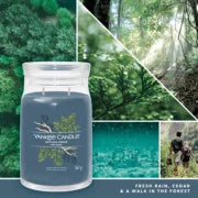 BAYSIDE CEDAR - SIGNATURE - Yankee Candle - Giara Grande