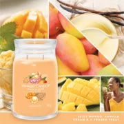 MANGO ICE CREAM - Yankee Candle - Giara Grande - SIGNATURE
