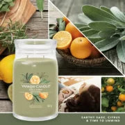 SAGE & CITRUS - SIGNATURE - Yankee Candle - Giara Grande