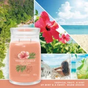 SPICED TROPICAL BREEZE -Yankee Candle- Giara Grande - SIGNATURE