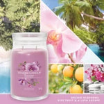 WILD ORCHID - Giara Grande - Signature - Yankee Candle